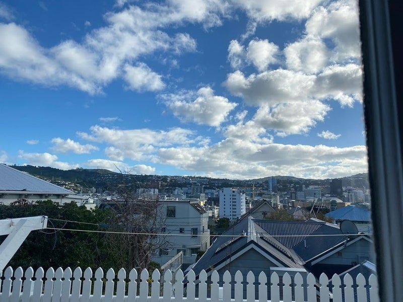 25A Earls Terrace, Mount Victoria, Wellington - Carousel 1