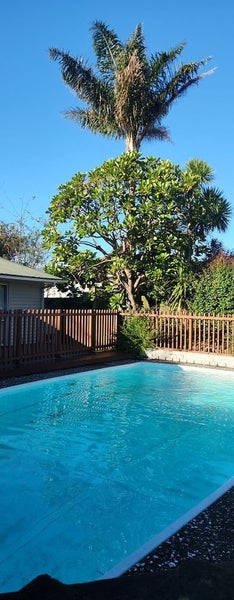 2/1569 Great North Road, Waterview, Auckland - Carousel 2