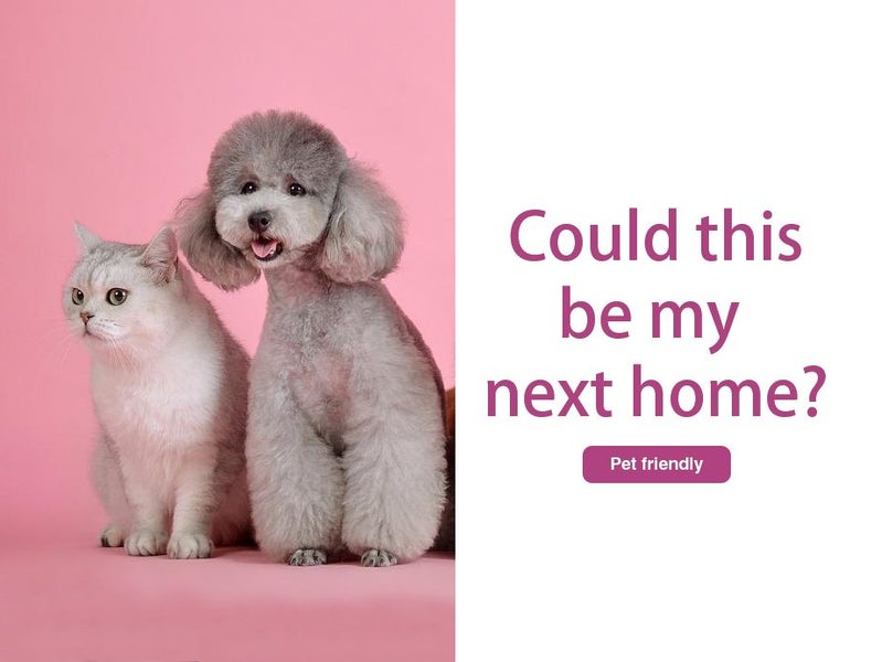 1/94 Charles Street, Waltham, Christchurch - Carousel 2