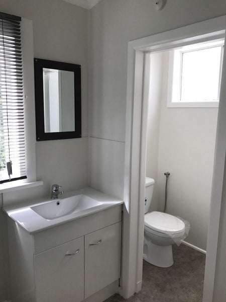 34 Arabi Street, Sandringham, Auckland - Carousel 11