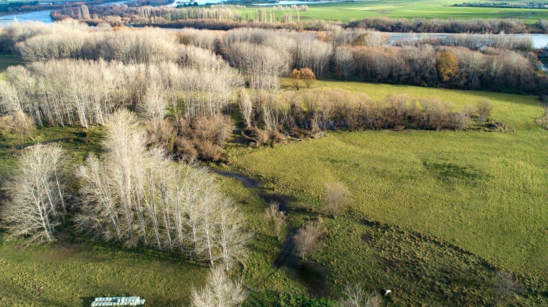 18 River Road, Elgin, Ashburton - Carousel 45