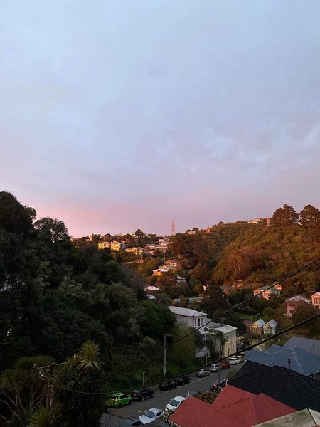 13A Adams Terrace, Aro Valley, Wellington - Carousel 2
