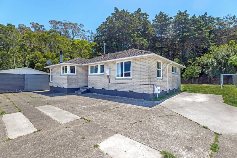 22 Halley Street, Outer Kaiti, Gisborne - Carousel 17