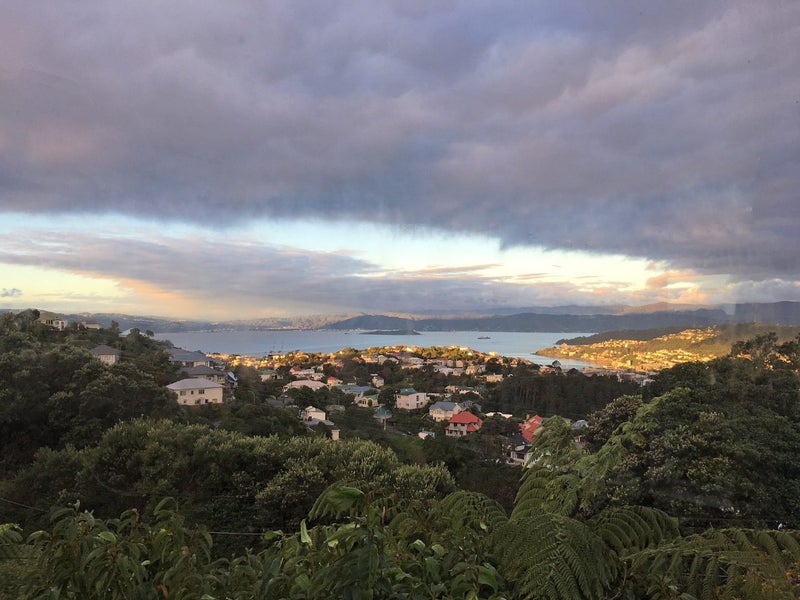 44 Highbury Road, Highbury, Wellington - Carousel 18
