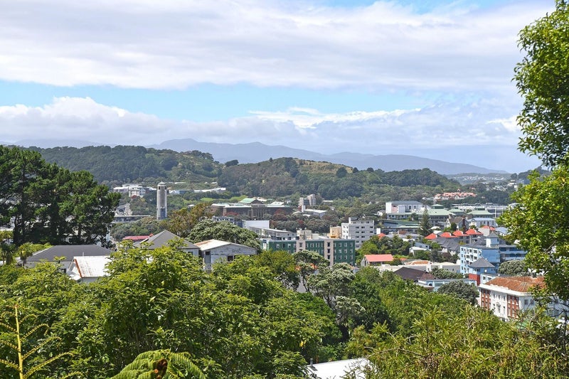 25 Devon Street, Aro Valley, Wellington - Carousel 12