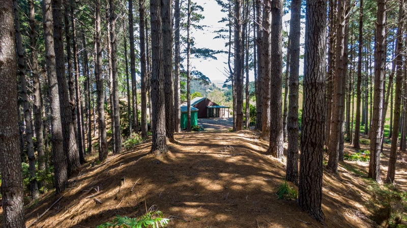 126 Blue Gorge Road, Peria - Carousel 2