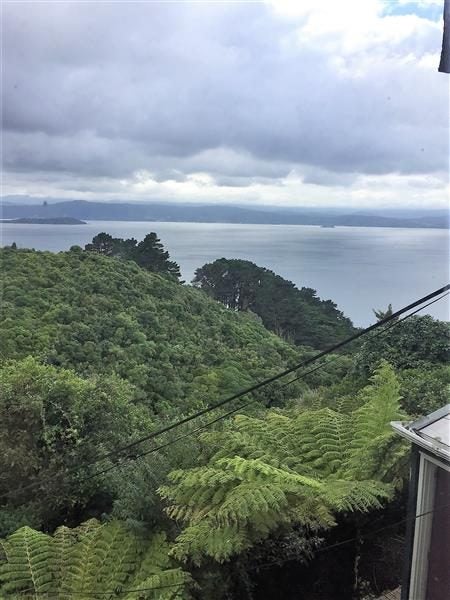 148 Nicholson Road, Khandallah, Wellington - Carousel 22