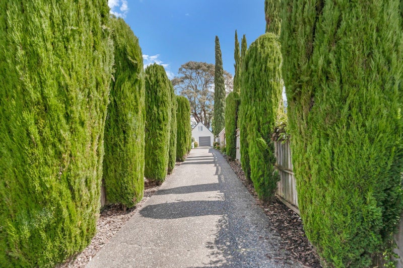 31B William Bond Street, Stanley Point, Auckland - Carousel 2