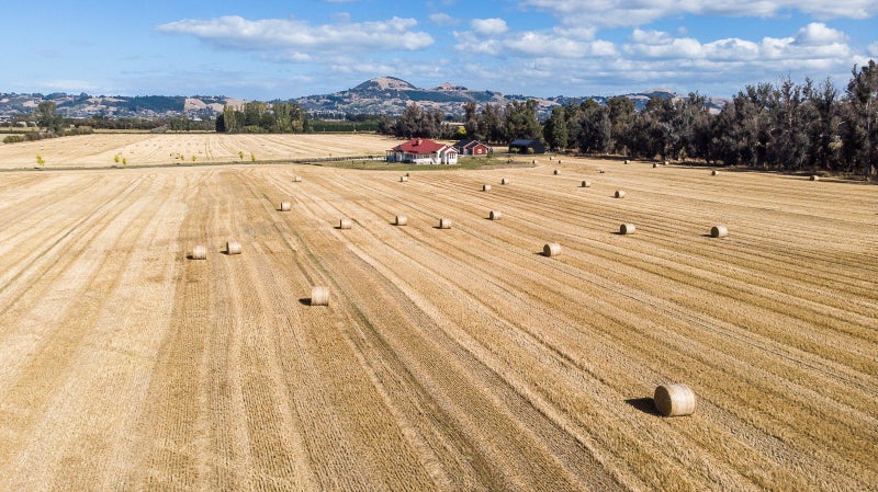 108 Wairongoa Road, North Taieri - Carousel 24