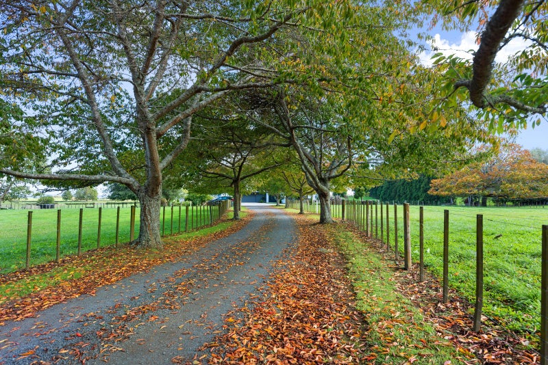 44 Brotherhood Road, Kihikihi, Te Awamutu - Carousel 50