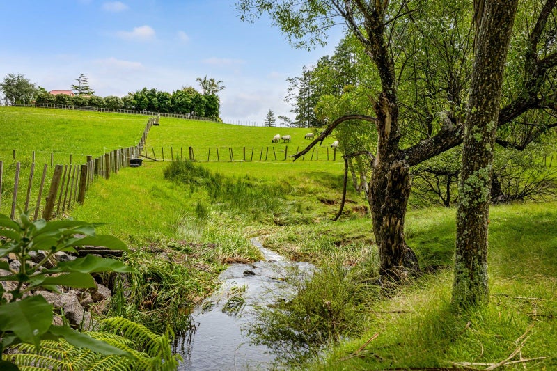 6 Dysart Lane, Kumeū - Carousel 14