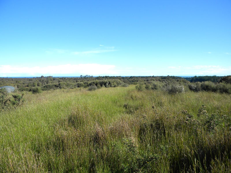 29C Reg Cox Drive, Blue Spur, Hokitika - Carousel 1