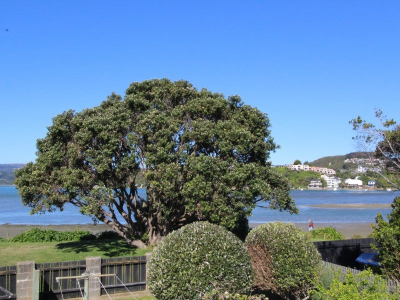 28 Mana Esplanade, Paremata, Porirua - Carousel 26