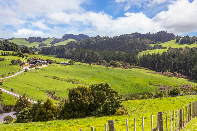 56 West Farm Drive, Kaiwaka, Mangawhai Heads - Carousel 1