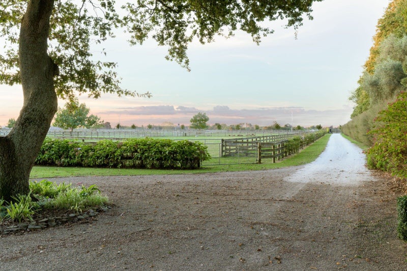 244 Mystery Creek Road, Ohaupo, Ohaupo - Carousel 24