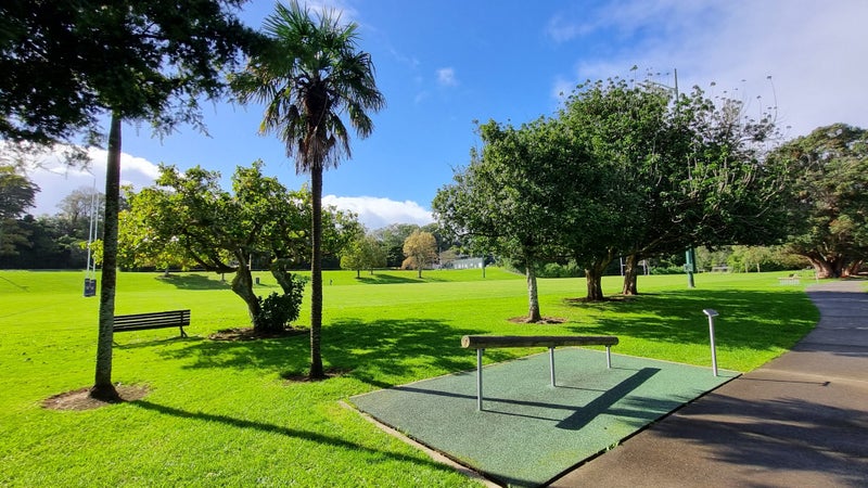 20 Brewster Avenue, Morningside, Auckland - Carousel 14