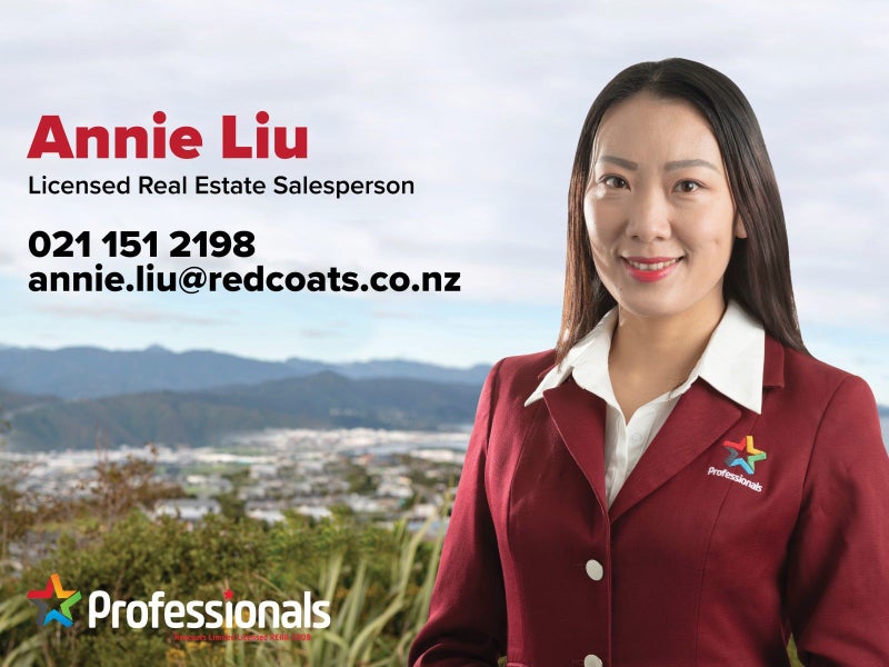 2/251 WATERLOO RD, Hutt Central, Lower Hutt - Carousel 17