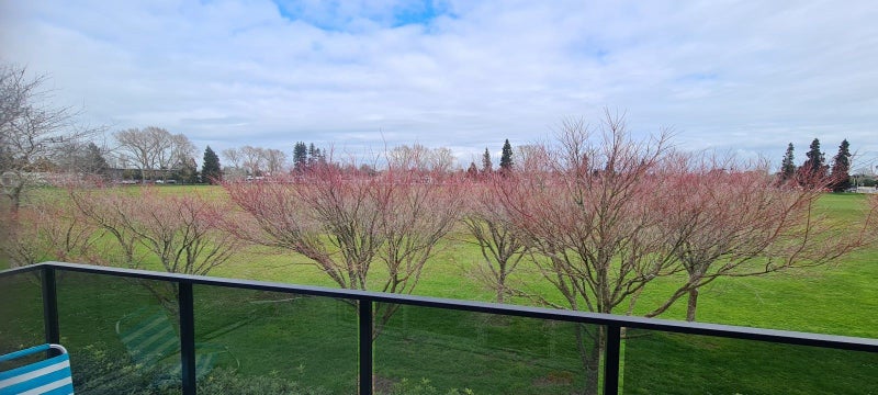 10/6 Page Place, Hamilton East, Hamilton - Carousel 2