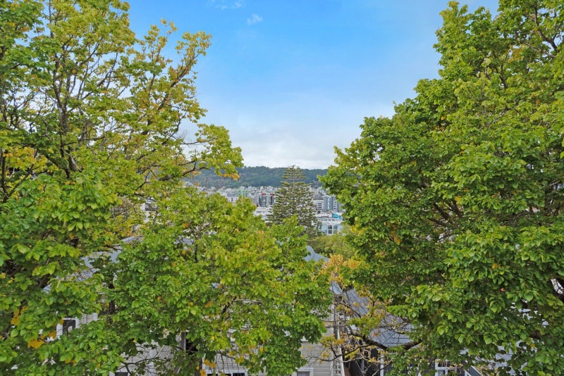 5/358 The Terrace, Te Aro, Wellington - Carousel 2