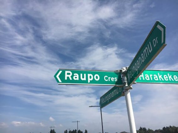 7 Raupo Crescent, Wharewaka, Taupo - Carousel 1