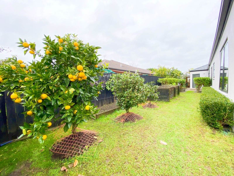 4 William Gamble Drive, Greenhithe, Auckland - Carousel 12