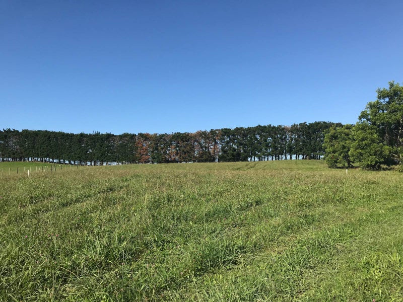 22 Karaka School Lane, Karaka, Papakura - Carousel 2