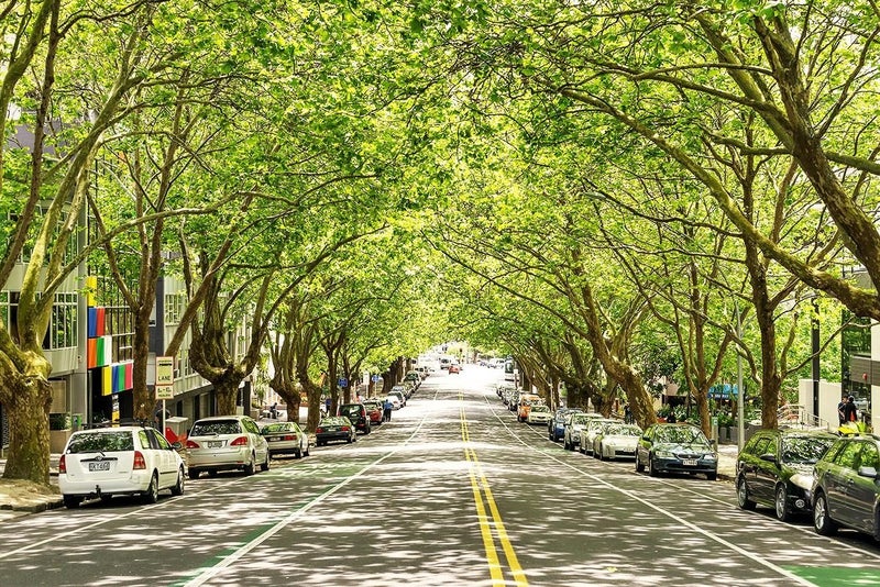 156 Peterborough Street, Christchurch Central, Christchurch - Carousel 8