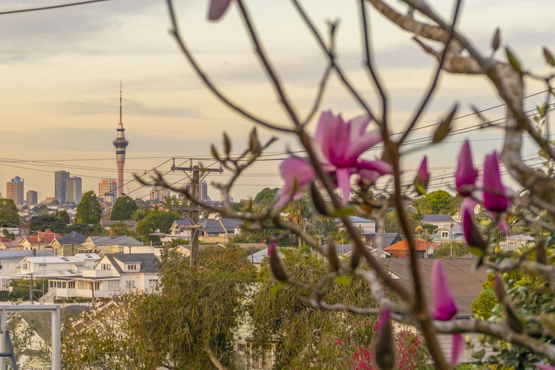 26 Warwick Avenue, Westmere, Auckland - Carousel 23