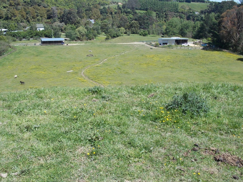 349 Turitea Road, Turitea, Palmerston North - Carousel 2