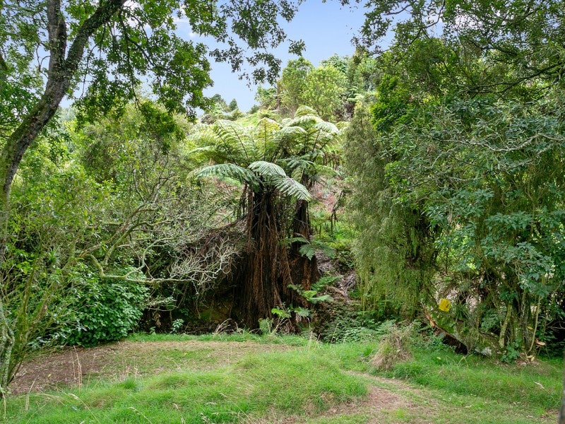 82 Tirohanga Road, Rotoorangi - Carousel 19