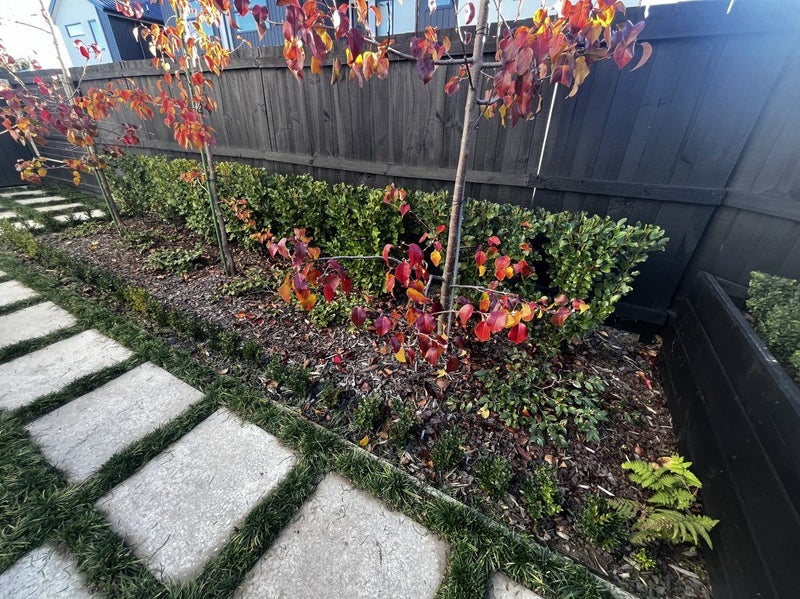 3/27 Winton Street, St Albans, Christchurch - Carousel 16