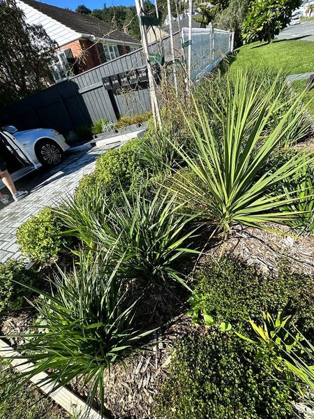 2/65 Strathmore Avenue, Strathmore Park, Wellington - Carousel 17