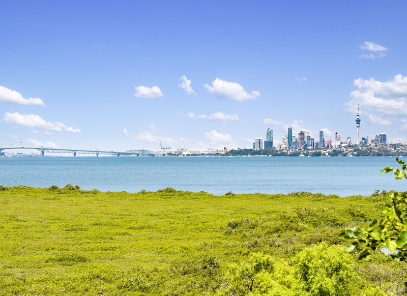 33A Dawnhaven Drive, Te Atatu Peninsula, Auckland - Carousel 9