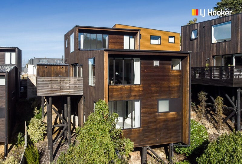 7 Heritage View, Dunedin Central, Dunedin - Carousel 23