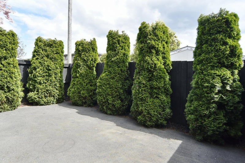 104 North Avon Road, Richmond, Christchurch - Carousel 15