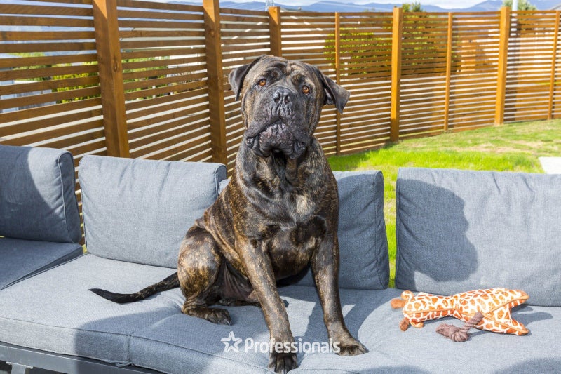 16 Mcewen Crescent, Riverstone Terraces, Upper Hutt - Carousel 21