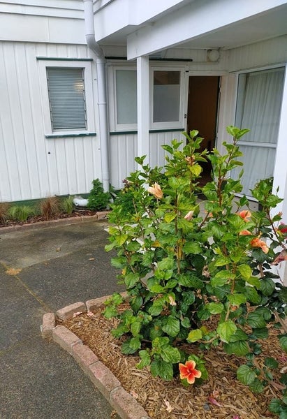 0 Pah Hill Road, Wharehine, Wellsford - Carousel 1