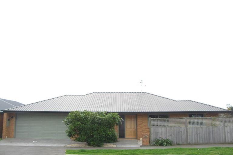 75A Cambria Street, The Wood, Nelson - Carousel 15