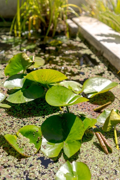 214 Peterborough Street, Christchurch Central, Christchurch - Carousel 27