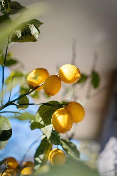 2/43 Breens Road, Bishopdale, Christchurch - Carousel 25