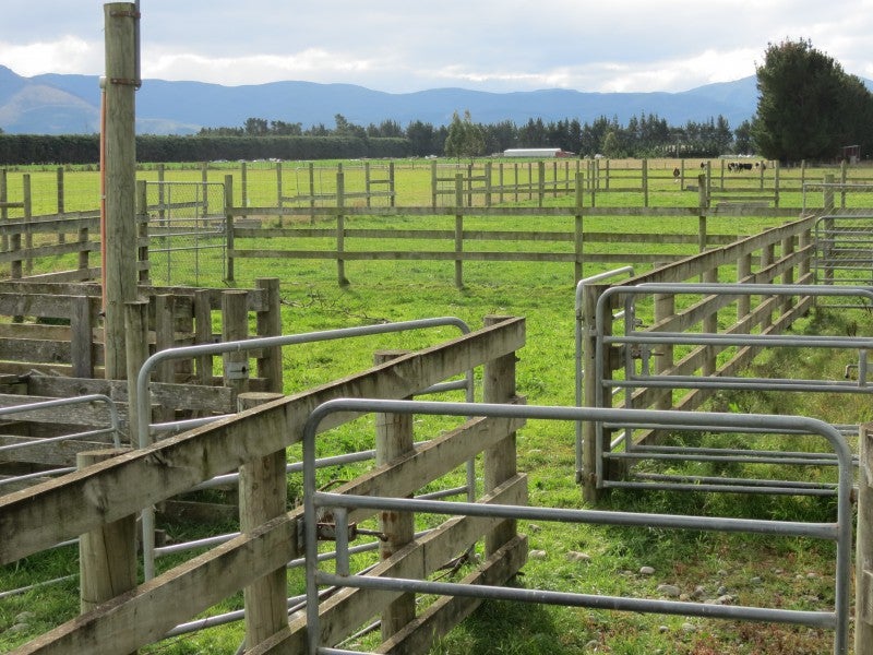 120 Glews Road, Cust, Rangiora - Carousel 1