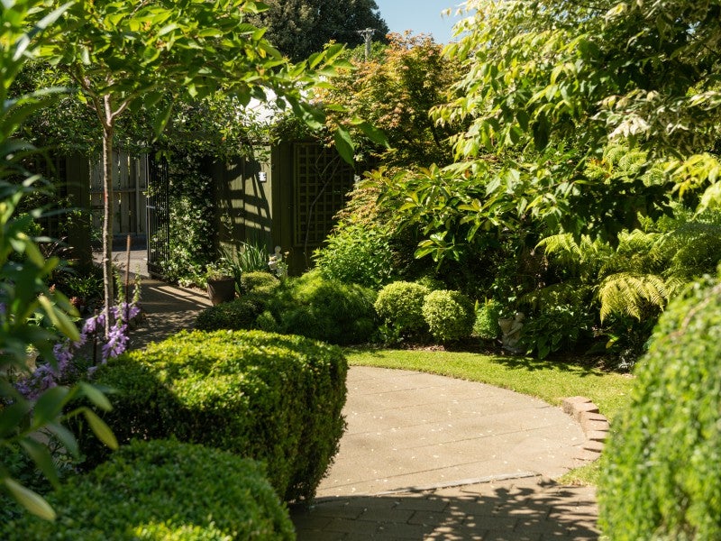 15A Yatton Street, Greerton, Tauranga - Carousel 20