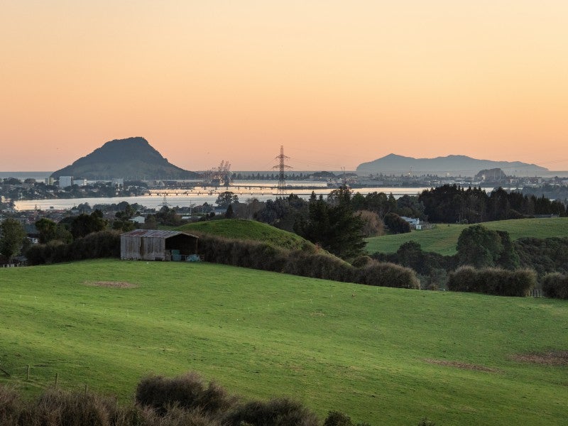 245 Upper Ohauiti Road, Ohauiti, Tauranga - Carousel 1