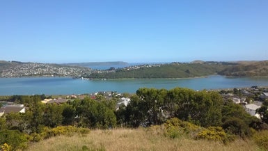 1A Whitford Brown Avenue, Papakowhai, Porirua - Carousel 1