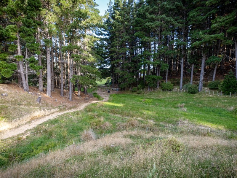 298F Paekakariki Hill Road, Pauatahanui, Porirua - Carousel 26