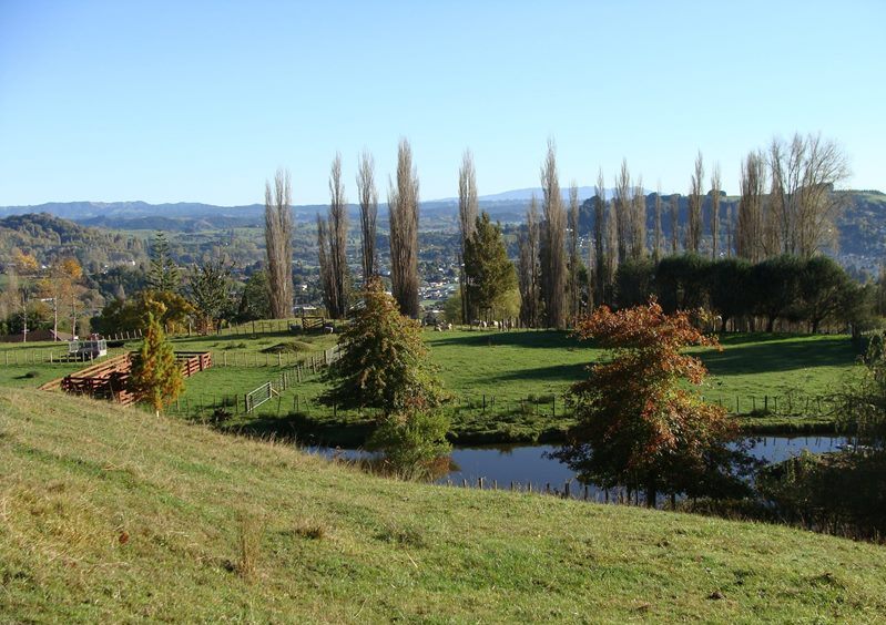 99 Awakino Road, Te Kūiti - Carousel 2