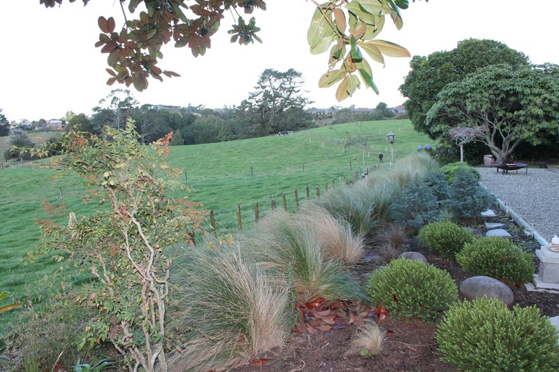 387 Frankley Road, Ferndale, New Plymouth - Carousel 2