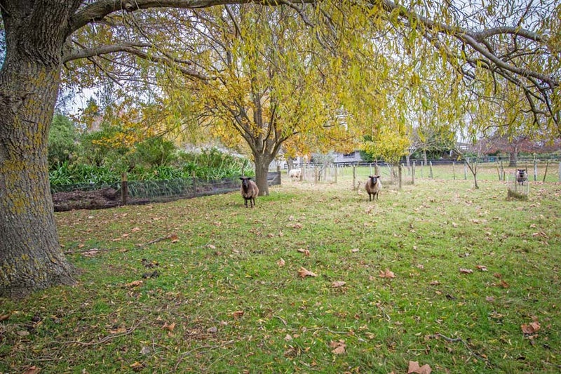 46 Southey Road, Masterton - Carousel 20