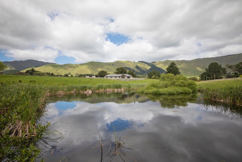 97A Albert Road, Tokomaru, Palmerston North - Carousel 24