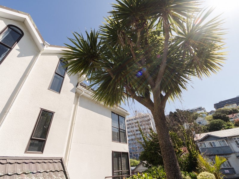 37 Macdonald Crescent, Te Aro, Wellington - Carousel 1